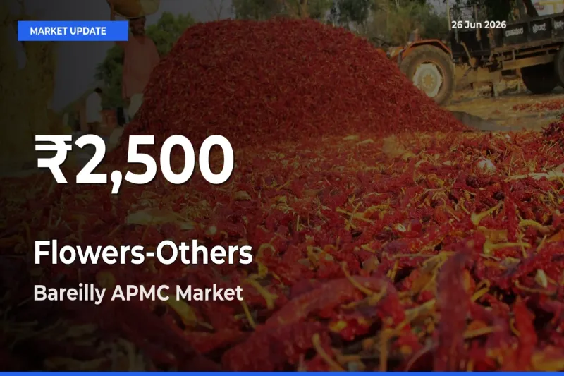 Flowers-Others Mandi Rate Today: 30-Day Low Recorded in Bareilly APMC