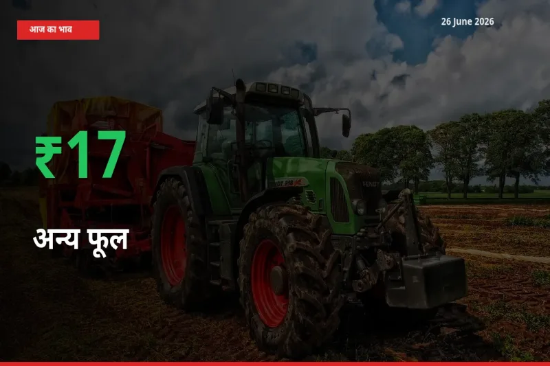 स्थानीय मंडी में अन्य फूल के दाम अचानक 16.96% उछले, किसान सतर्क