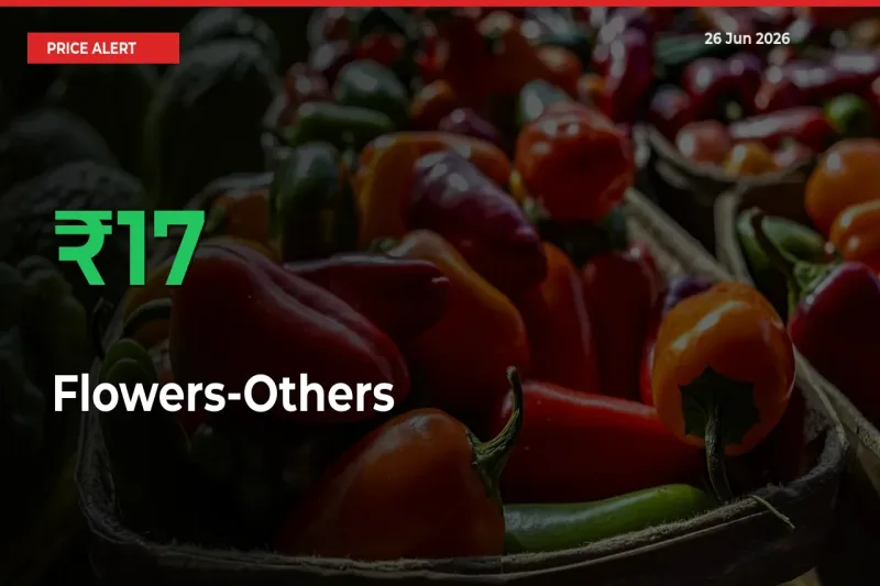 Sudden 16.96% Rally in Flowers-Others Prices Across Mandis