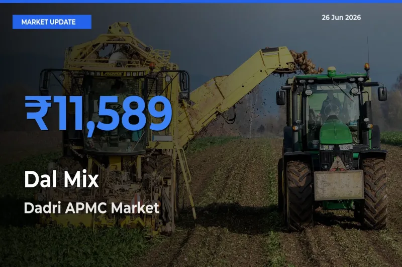 Market Watch: Dadri APMC Becomes Top Mandi for Dal Mix