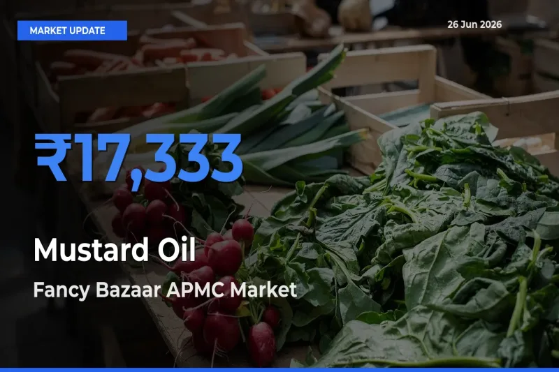 Fancy Bazaar APMC Records Highest ₹17,333 Rate for Mustard Oil
