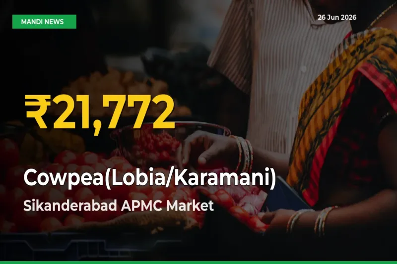 Cowpea(Lobia/Karamani) Price Rally Continues – Sikanderabad APMC Hits Fresh High Today
