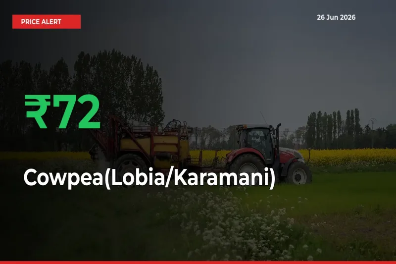 This Mandi Records 71.79% Jump in Cowpea(Lobia/Karamani) Prices