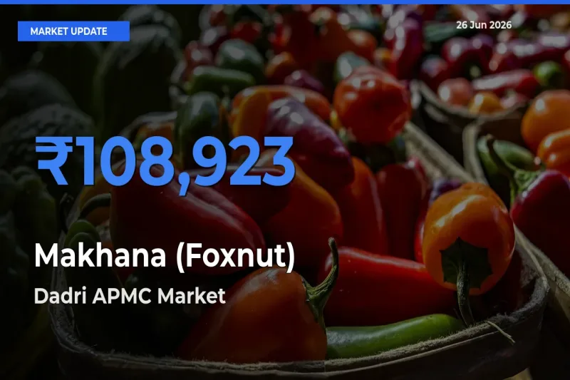 Market Watch: Dadri APMC Becomes Top Mandi for Makhana (Foxnut)