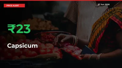 Capsicum Rises 22.68% at Mandis