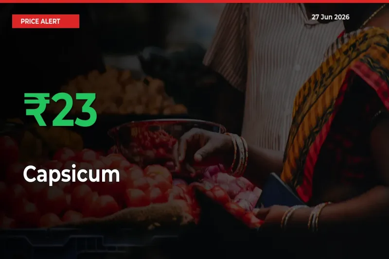 Capsicum Rises 22.68% at Mandis