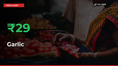 Big Rally! Garlic Climbs 29.41% in 24 Hours at Top Mandis