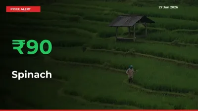 Sudden 89.53% Rally in Spinach Prices Across Mandis