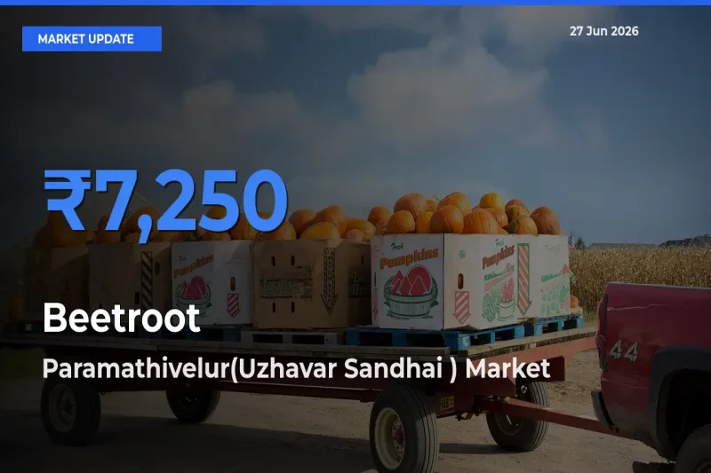Paramathivelur(Uzhavar Sandhai ) Tops Beetroot Mandi Rates Today