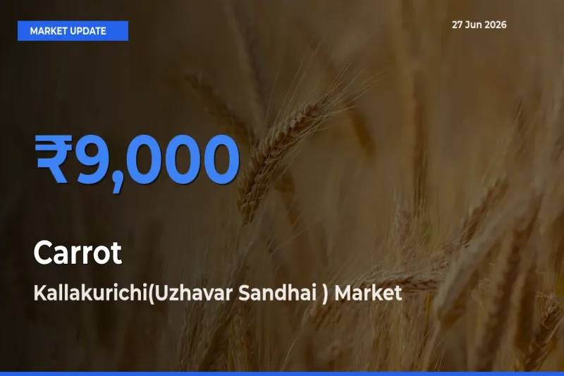 Market Watch: Kallakurichi(Uzhavar Sandhai ) Becomes Top Mandi for Carrot