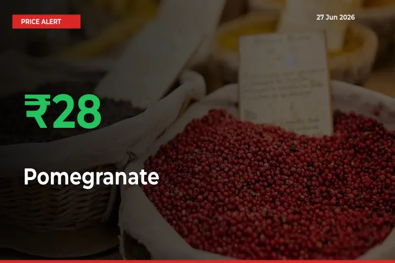 This Mandi Records 27.92% Jump in Pomegranate Prices