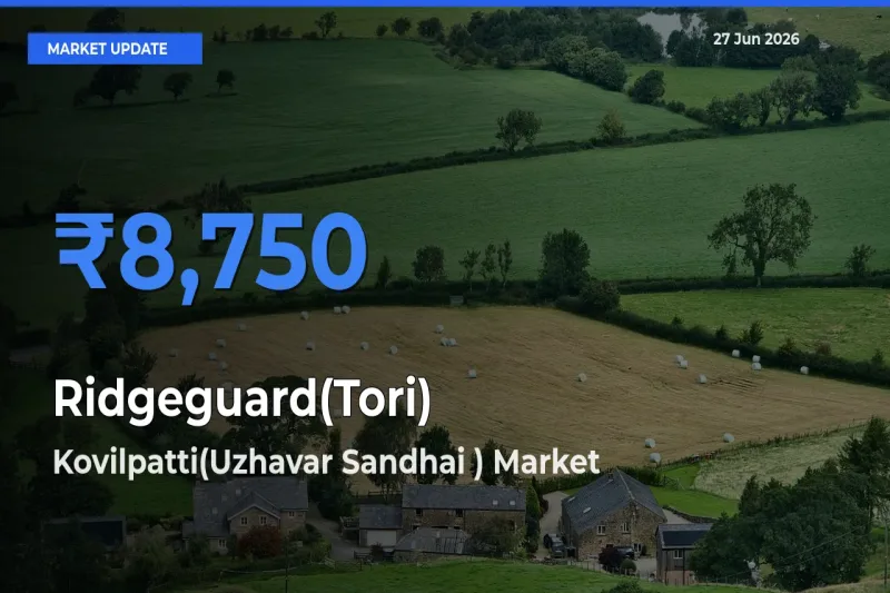 Kovilpatti(Uzhavar Sandhai ) Records Highest ₹8,750 Rate for Ridgeguard(Tori)