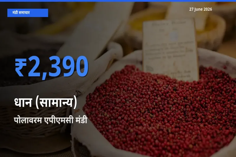 बाज़ार संकेत: पोलावरम एपीएमसी बना धान (सामान्य) के लिए आज की टॉप मंडी