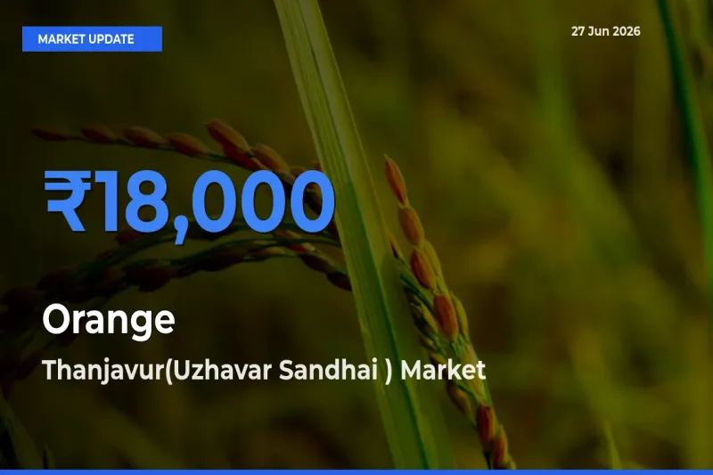 Thanjavur(Uzhavar Sandhai ) Offers ₹18,000 – Highest Orange Rate Today