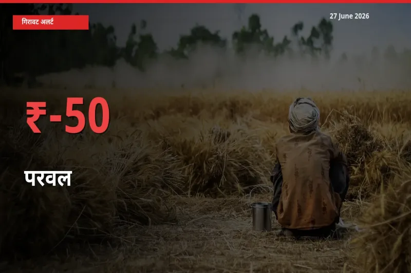 27 June अपडेट: परवल के दाम मंडी में 49.93% गिरे
