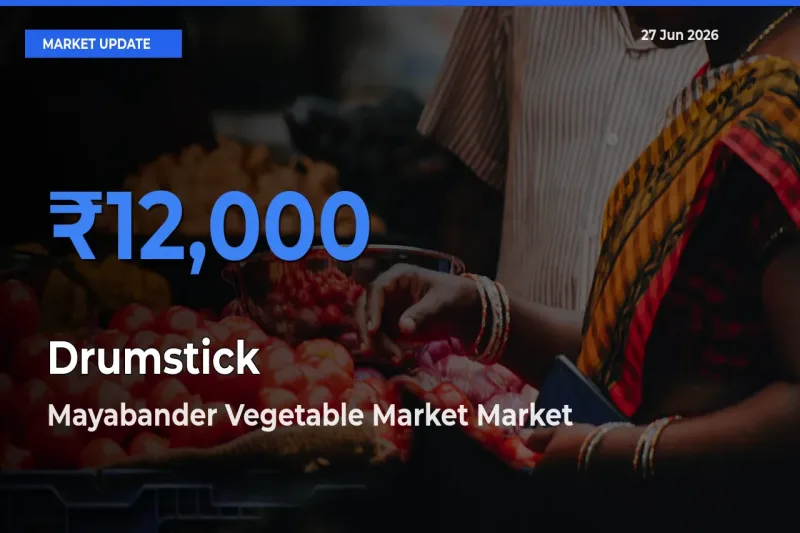 Drumstick Mandi Rate Today: Mayabander Vegetable Market Tops the List