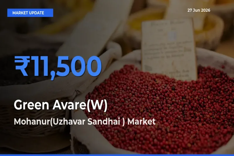 Market Watch: Mohanur(Uzhavar Sandhai ) Becomes Top Mandi for Green Avare(W)