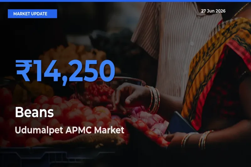 Market Watch: Udumalpet APMC Becomes Top Mandi for Beans