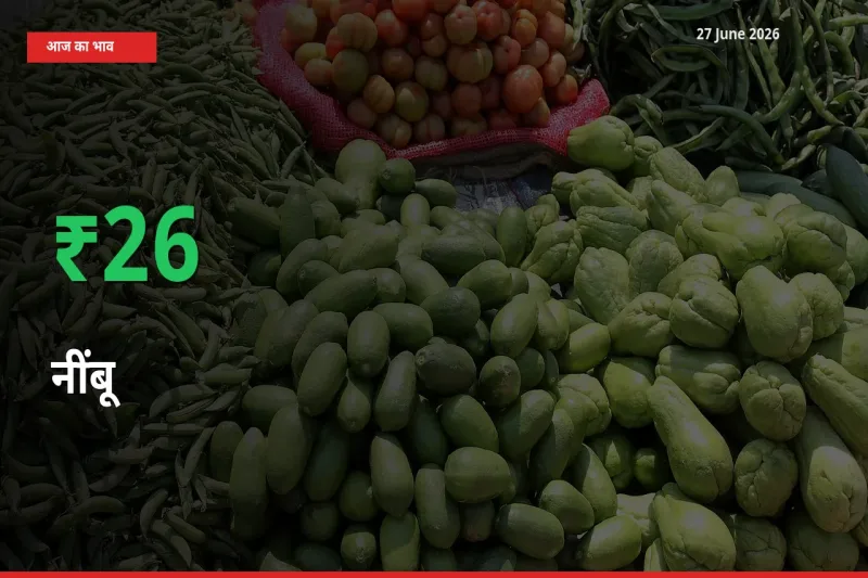 स्थानीय मंडी में नींबू के दाम अचानक 26.09% उछले, किसान सतर्क