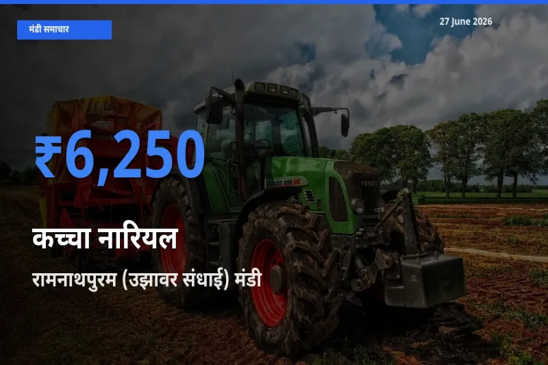 आज का मंडी भाव: कच्चा नारियल के सबसे ज़्यादा दाम रामनाथपुरम (उझावर संधाई) में