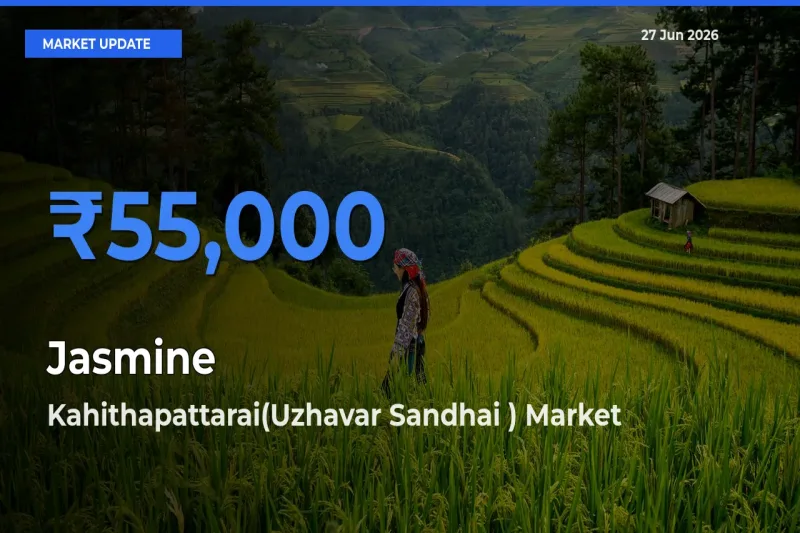 Kahithapattarai(Uzhavar Sandhai ) Records Highest ₹55,000 Rate for Jasmine