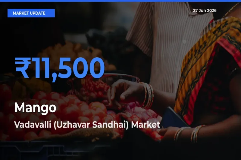 Vadavalli (Uzhavar Sandhai) Tops Mango Rates – June 27 Market Update