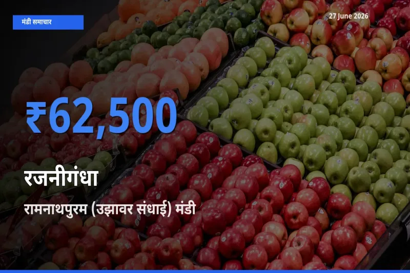 रामनाथपुरम (उझावर संधाई) में रजनीगंधा का आज सबसे ऊँचा भाव