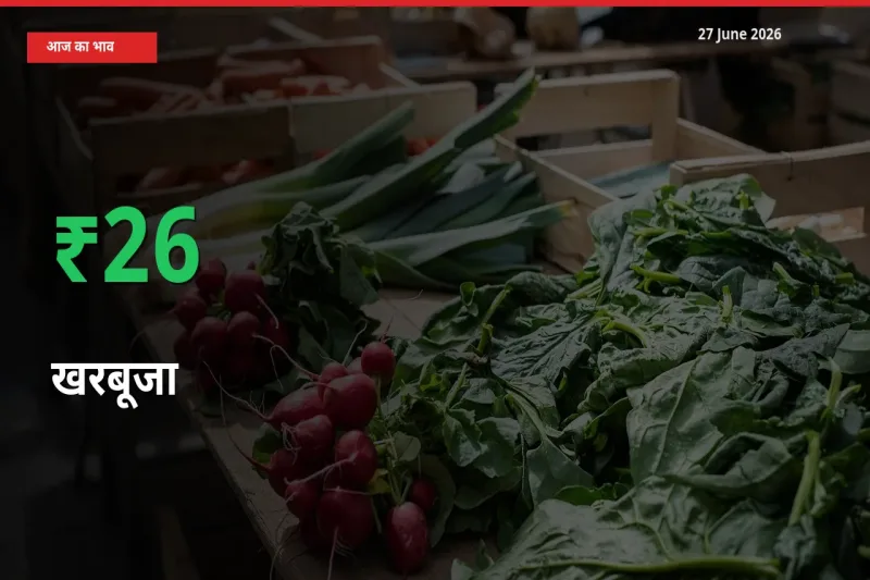 स्थानीय मंडी में खरबूजा के दाम अचानक 26.32% उछले, किसान सतर्क