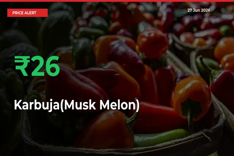 Big Rally! Karbuja(Musk Melon) Climbs 26.32% in 24 Hours at Top Mandis