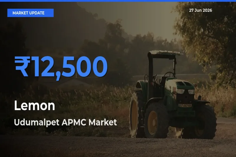 Udumalpet APMC Records Highest ₹12,500 Rate for Lemon