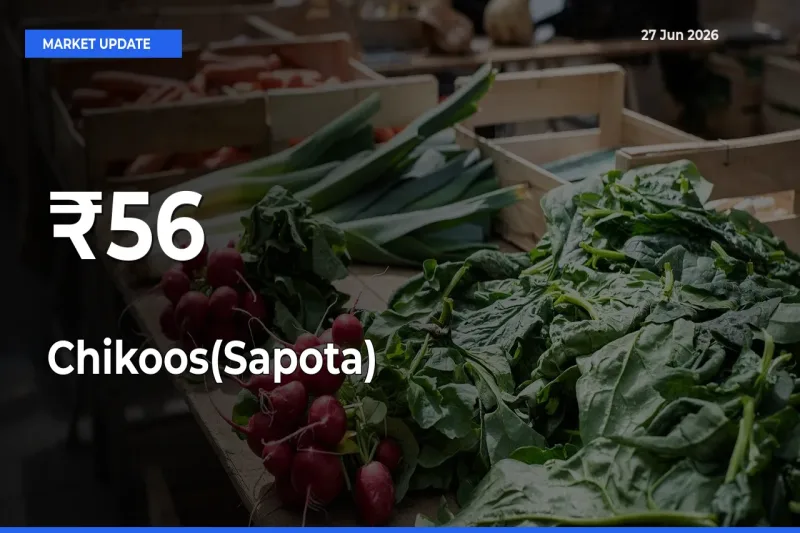 Chikoos(Sapota) Mandi Trend Today: Prices Shift Across Multiple Markets