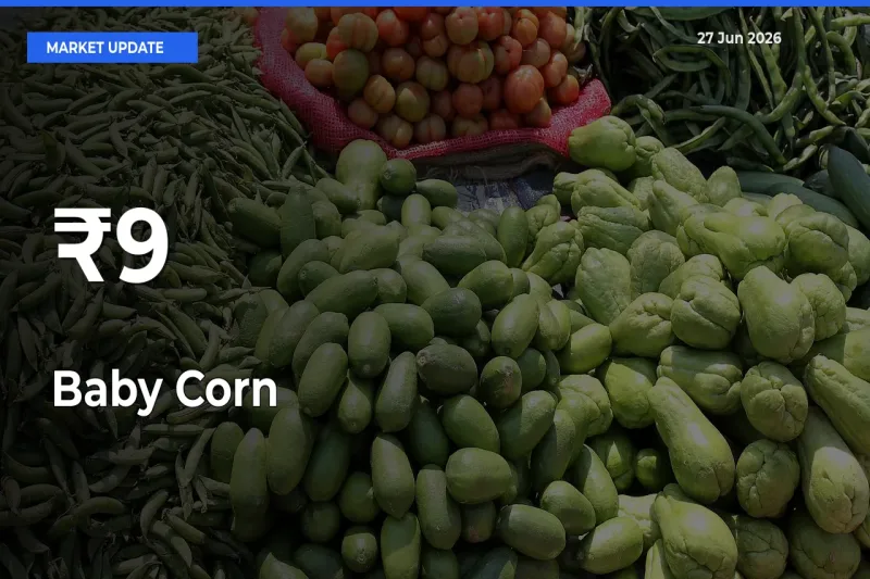 Baby Corn Rates Show Broad Movement Across 9+ Mandis