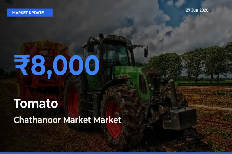 Tomato Mandi Rate Today: Chathanoor Market Tops the List