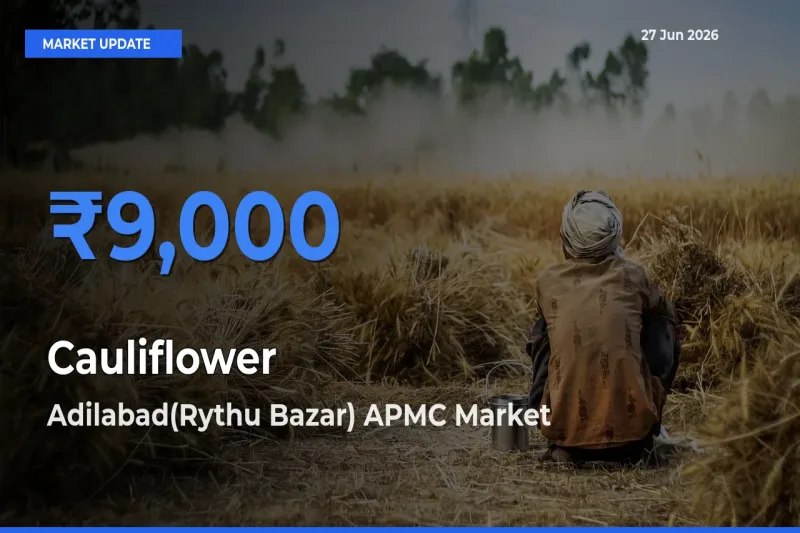 Adilabad(Rythu Bazar) APMC Tops Cauliflower Rates – June 27 Market Update