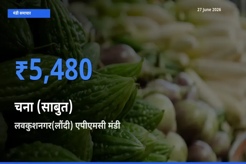 किसानों की पसंद बना लवकुशनगर(लौंदी) एपीएमसी, चना (साबुत) के सबसे अच्छे दाम