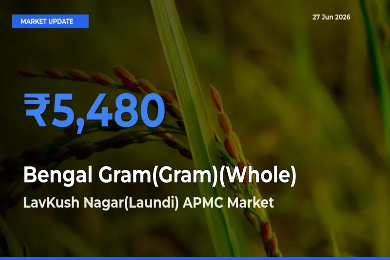 LavKush Nagar(Laundi) APMC Tops Bengal Gram(Gram)(Whole) Mandi Rates Today