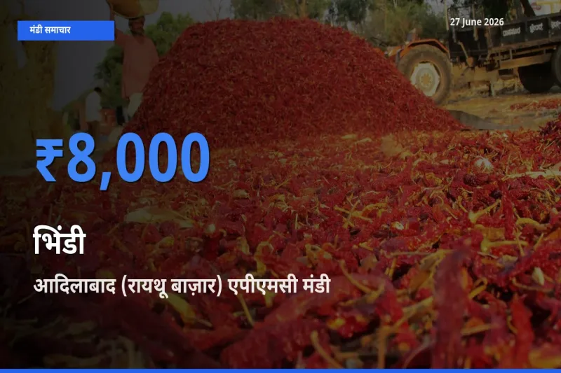 आदिलाबाद (रायथू बाज़ार) एपीएमसी मंडी में आज भिंडी के सबसे ऊँचे दाम दर्ज