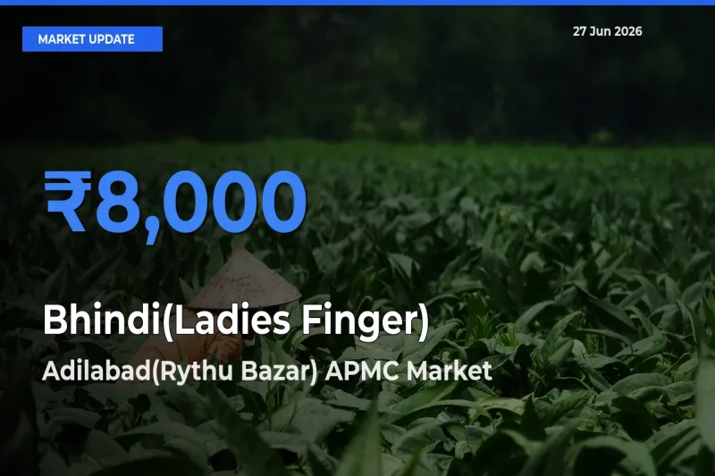 Adilabad(Rythu Bazar) APMC Emerges as Top Mandi for Bhindi(Ladies Finger) Prices Today