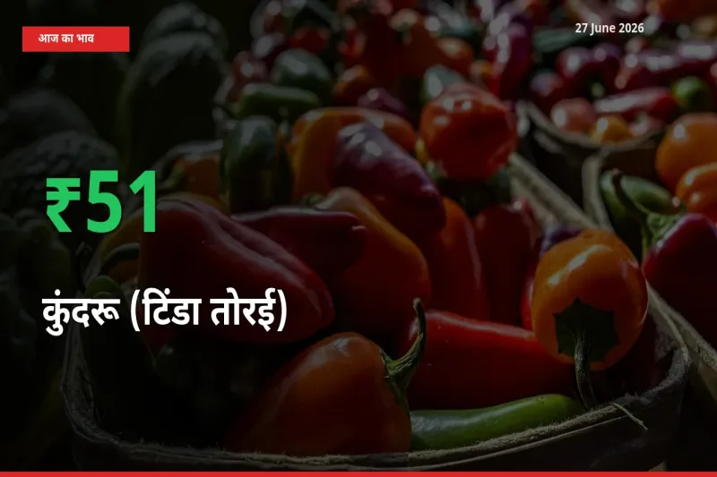 तेज़ तेजी! मंडी में कुंदरू (टिंडा तोरई) के दाम 51.26% चढ़े