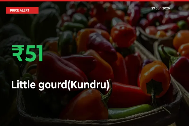 Little gourd(Kundru) Prices Rise 51.26% in a Day at Major Mandis