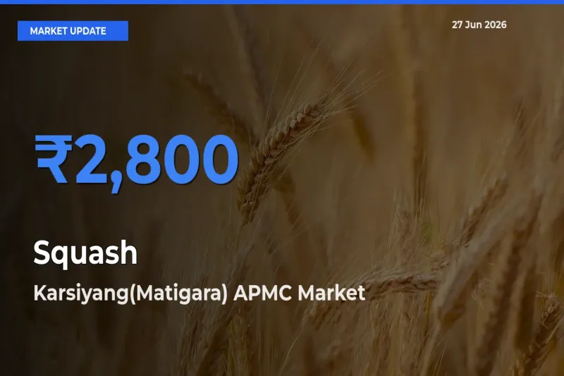Karsiyang(Matigara) APMC Tops Squash Rates – June 27 Market Update