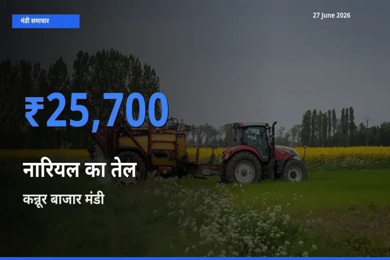 टॉप मंडी बना कन्नूर बाजार! नारियल का तेल के सबसे ऊँचे दाम यहीं दर्ज