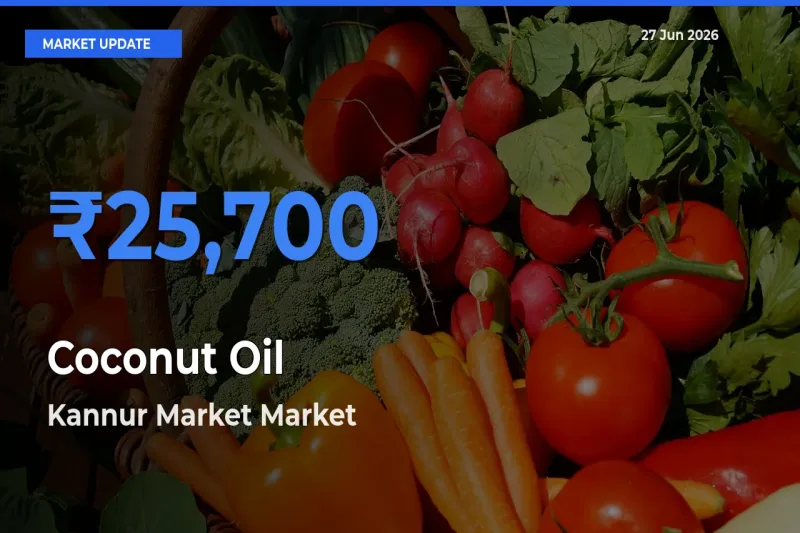 Kannur Market Records Highest ₹25,700 Rate for Coconut Oil