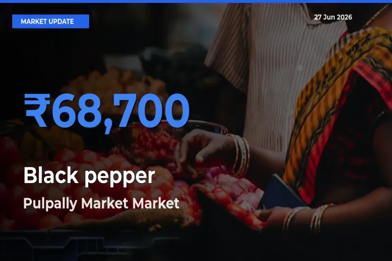 Pulpally Market Records Highest ₹68,700 Rate for Black pepper