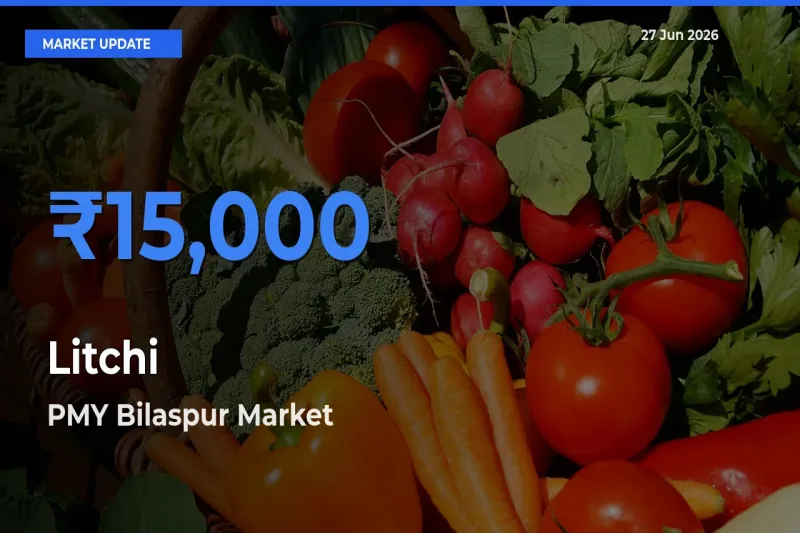 PMY Bilaspur Leads as Top Mandi for Litchi Prices