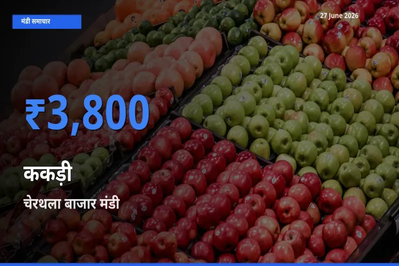 27 June अपडेट: ककड़ी के सबसे ऊँचे दाम चेरथला बाजार मंडी में