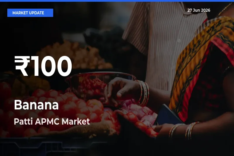 Banana Prices Touch 30-Day Low in Patti APMC – June 27 Update
