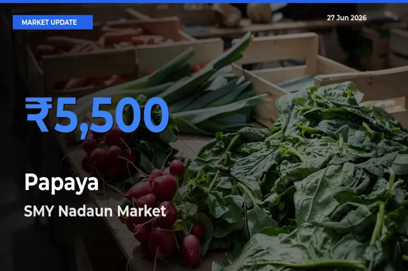 Market Watch: SMY Nadaun Becomes Top Mandi for Papaya