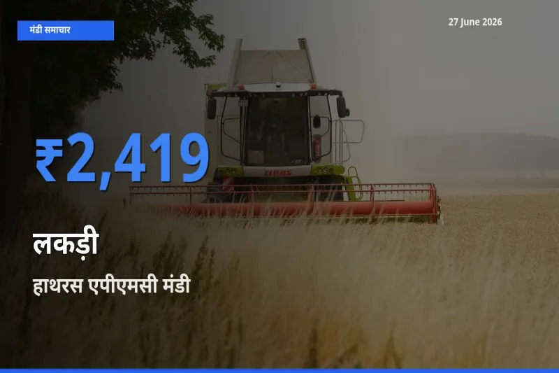 टॉप मंडी बना हाथरस एपीएमसी! लकड़ी के सबसे ऊँचे दाम यहीं दर्ज