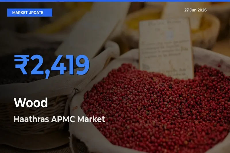 Farmers Prefer Haathras APMC as Wood Hits Highest Rate